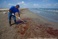 BP Oil Spill